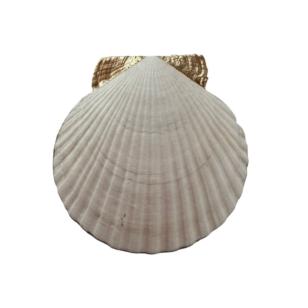 Vintage Songbird Scallop Shell Trinket Dish, Botanical Jewelry Holder - Picture 6 of 6